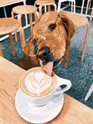 Malowanie ... - Ksiegarnia w UK