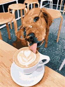 Obrazek Malowanie po numerach 30x40cm Latte dla przyjaciela