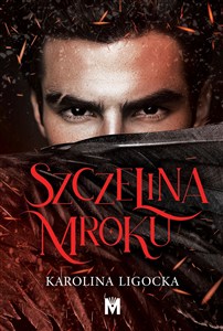 Obrazek Szczelina mroku