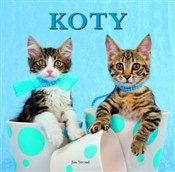 polish book : Koty - Jon Stroud