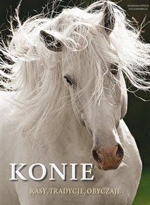 Picture of Konie