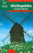 Polska książka : Wielkopols... - Katarzyna Firlej, Sławomir Adamczak