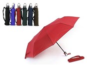 Polska książka : Parasolka ...