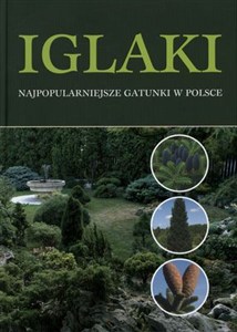 Obrazek Iglaki najpopularniejsze gatunki w Polsce