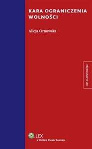 Obrazek Kara ograniczenia wolności