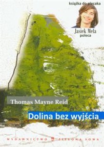 Obrazek Dolina bez wyjścia