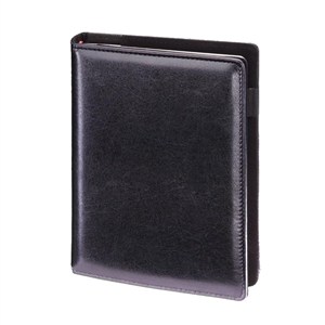 Obrazek Planner 2026 A5 dzienny czarny PLR38B-25