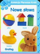 Polska książka : Kolekcja p...