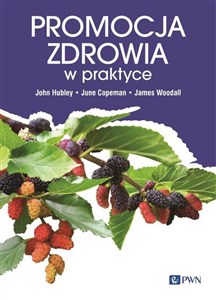 Obrazek Promocja zdrowia w praktyce