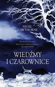 Obrazek Wiedźmy i czarownice