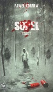Obrazek Sopel Część 1