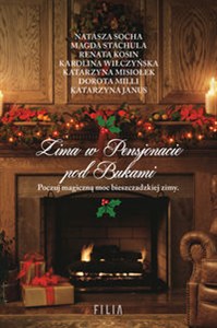 Picture of Zima w Pensjonacie pod Bukami Wielkie Litery