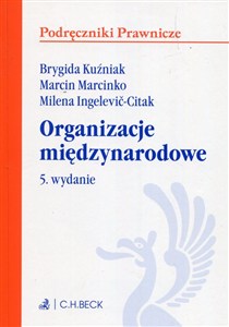 Obrazek Organizacje międzynarodowe