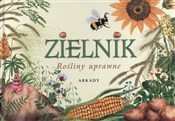 Zielnik Ro... - Małgorzata Garbarczyk, Henryk Garbarczyk -  Polish Bookstore 