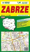 Książka : Zabrze 1:1...