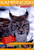 Polska książka : Kampinoski... - Grzegorz Okołów