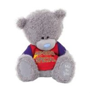 Obrazek Miś 18 cm w koszulce Someone Special