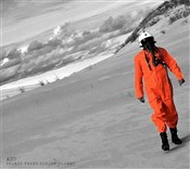 Zobacz : Podróż prz... - AHO