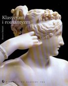 polish book : Klasycyzm ... - Silvestra Bietoletti