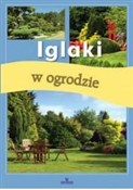 Iglaki w o... - Jadwiga Wilder -  books in polish 