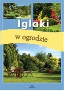 Obrazek Iglaki w ogrodzie