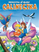 Zobacz : Przeczytaj... - Claudio Cernuschi (ilustr.)