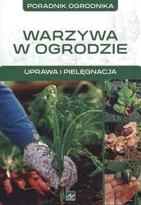 Obrazek Warzywa urządzanie warzywniaka Aranżacja ogrodu