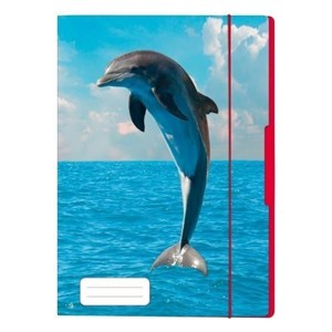 Obrazek TECZKA RYS.A4 Z GUM.DELFIN