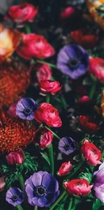 Obrazek Karnet DL Uniwersalny