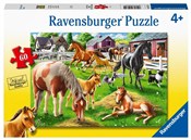 Książka : Puzzle 60 ...