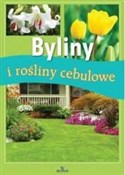 Byliny i r... - Jadwiga Wilder -  books in polish 