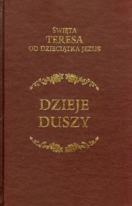 Obrazek Dzieje duszy