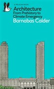 Architectu... - Barnabas Calder -  Książka z wysyłką do UK