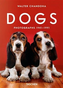 Obrazek Walter Chandoha. Dogs. Photographs 1941-1991