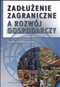 polish book : Zadłużenie... - Aneta Kosztowniak