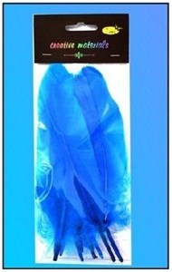 Obrazek Piórka twarde pacyfik 10szt