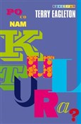 Po co nam ... - Terry Eagleton -  Książka z wysyłką do UK