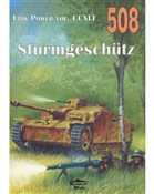 polish book : Sturmgesch... - Janusz Ledwoch