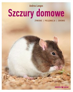 Obrazek Szczury domowe żywienie pielęgnacja zdrowie
