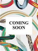 Goya. The ... - Anna Reuter, José Manuel Matilla -  books from Poland