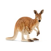 Kangur -  foreign books in polish 