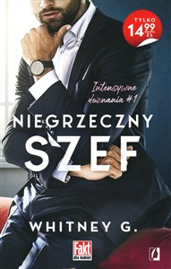 Obrazek Niegrzeczny szef. Seria Intensywne doznania. Tom 1