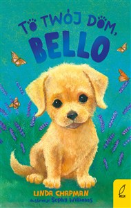 Obrazek To twój dom, Bello