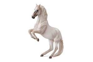 Obrazek Ogier rasy lipizzaner