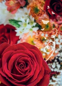 Obrazek Karnet B6 Uniwersalny