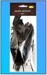 Obrazek Piórka twarde czarne 10szt