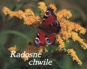 Picture of RADOSNE CHWILE PEREŁKI