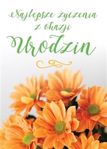 Obrazek Karnet B6 Urodziny