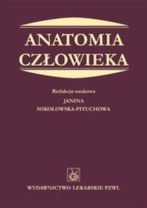 Obrazek Anatomia człowieka