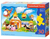 Puzzle 30 ... -  foreign books in polish 